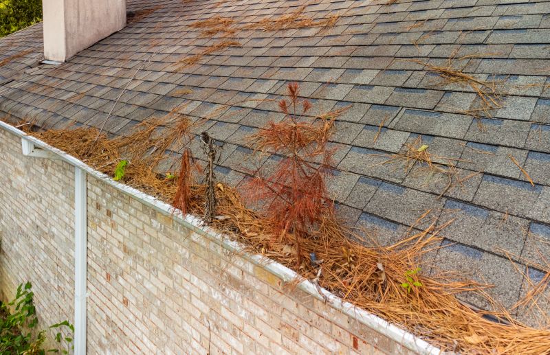 Gutter Pine Needle Removal in Pittsburgh, PA