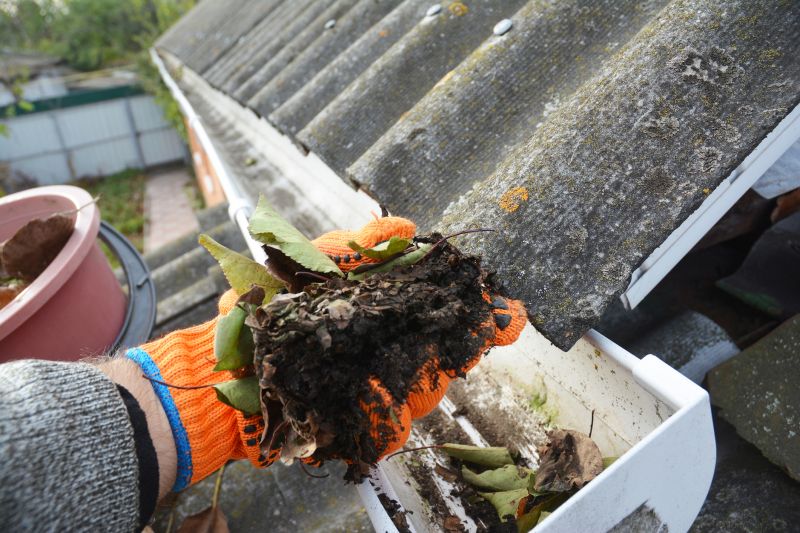 Clogged Gutter Clearing in Baltimore, MD