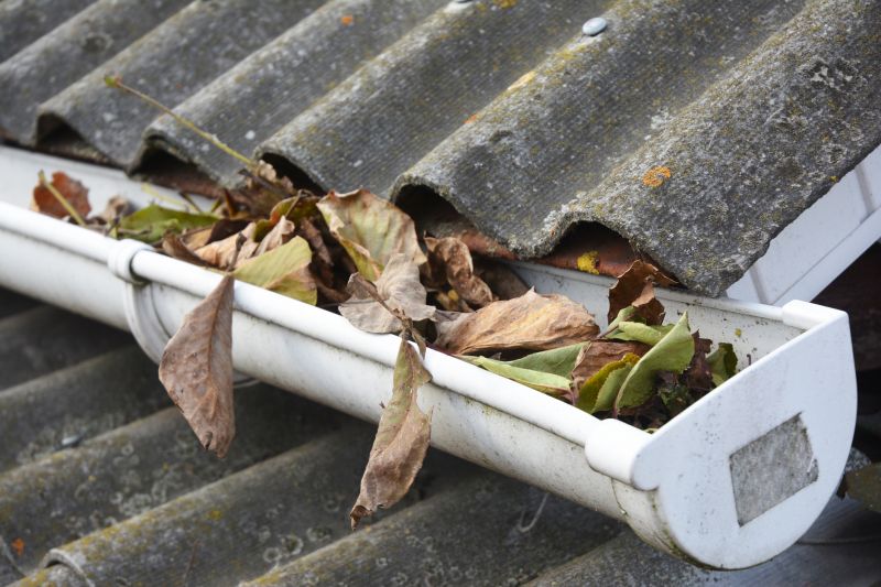 Clogged Gutter Clearing in Longmont, CO