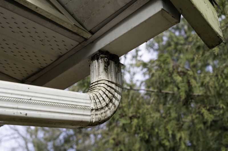 Downspout Cleaning in Boulder, CO
