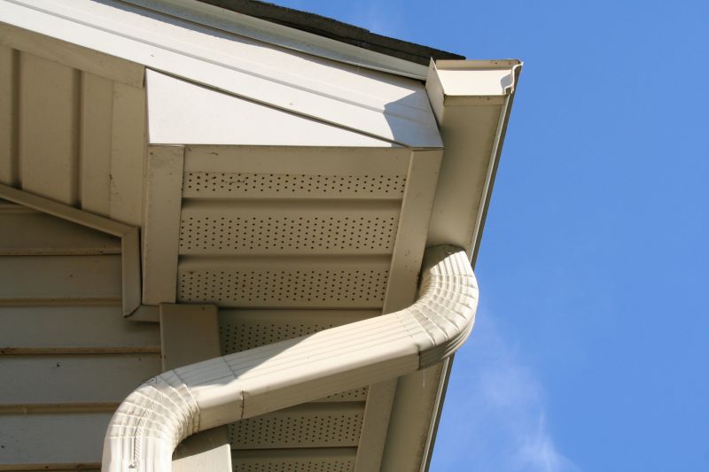 Downspout Snaking in Richmond, VA