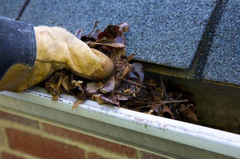 Gutter Blockage Removal in Boulder, CO