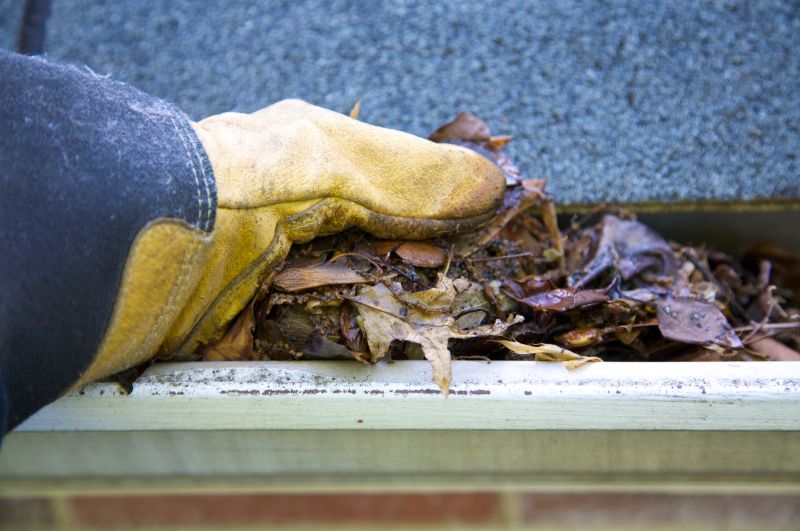 Gutter Blockage Removal in Baltimore, MD