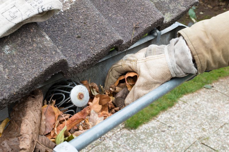 Gutter Cleaning in Frederick, MD