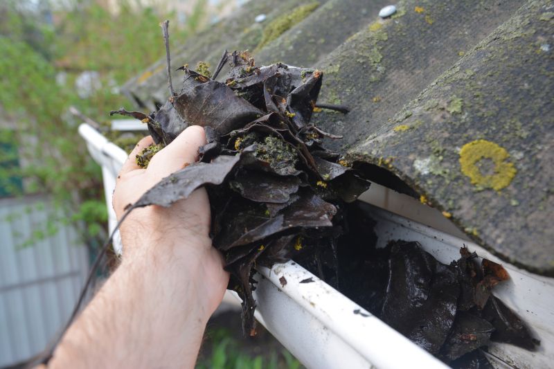 Gutter Leaf Clearing in Boulder, CO