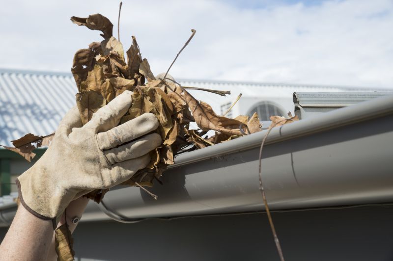 Gutter Leaf Clearing in Annapolis, MD