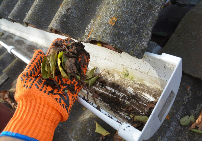 Gutter Leaf Clearing in Monmouth County, NJ