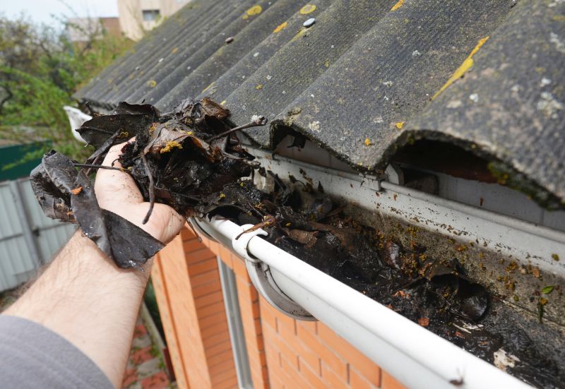 Gutter Leaf Clearing in Bergen County, NJ