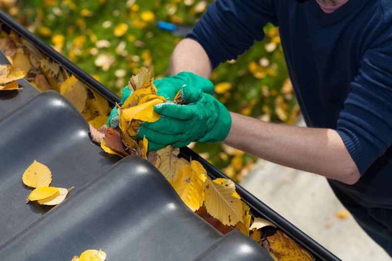 Gutter Leaves Removal in Richmond, VA