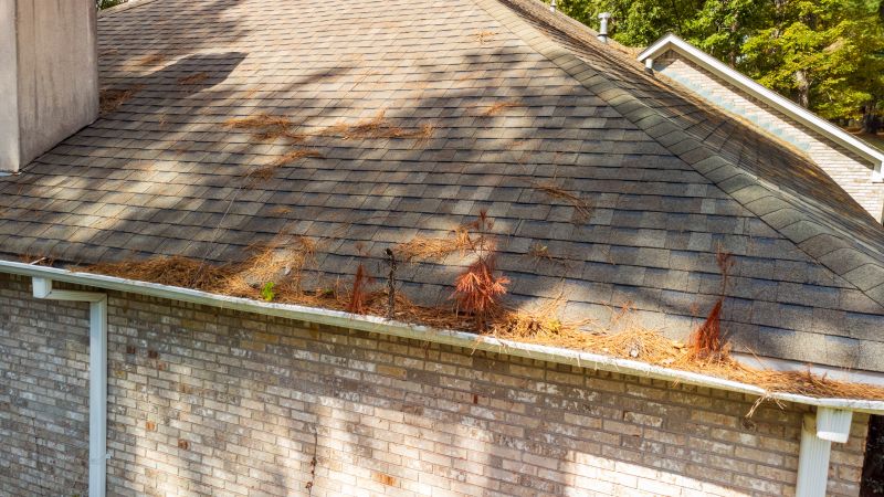 Gutter Pine Needle Removal in Bergen County, NJ