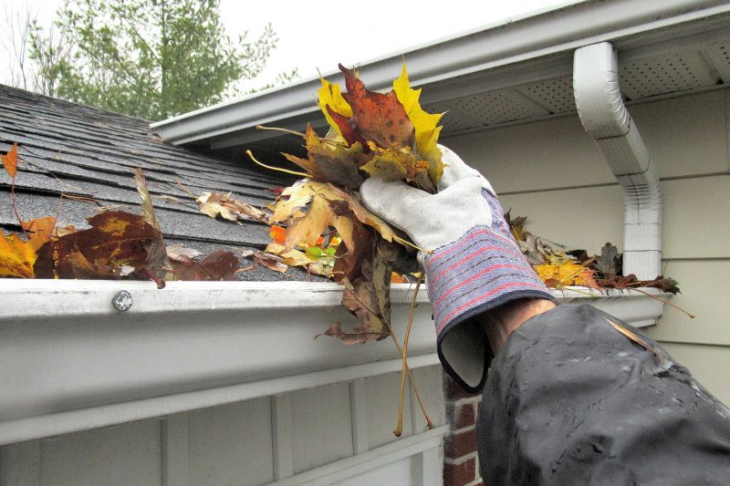 Gutter Pine Needle Removal in Frederick, MD