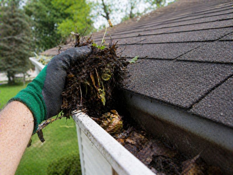 Gutter Pine Needle Removal in Baltimore, MD
