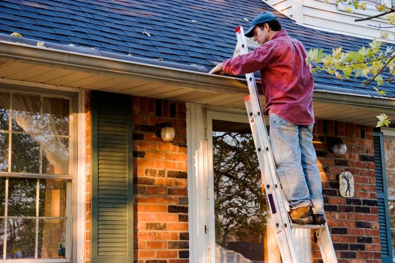 Roof Gutter Cleaning in Bergen County, NJ